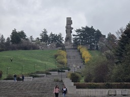 20250330_122341.jpg