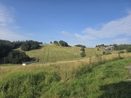 20240721_074438.jpg