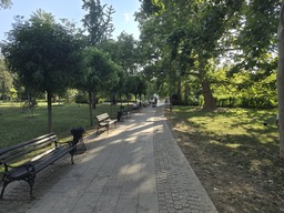 20240725_180236.jpg